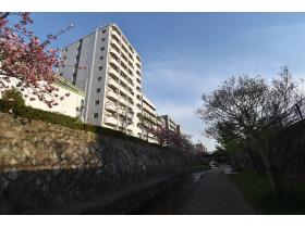 �}���V�����O�̖x��V�����ƃ}���V����