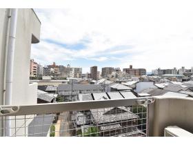 ������@�������肪�ǂ��A���]���ǍD�ł��B�O����̎������C�ɂȂ�܂���